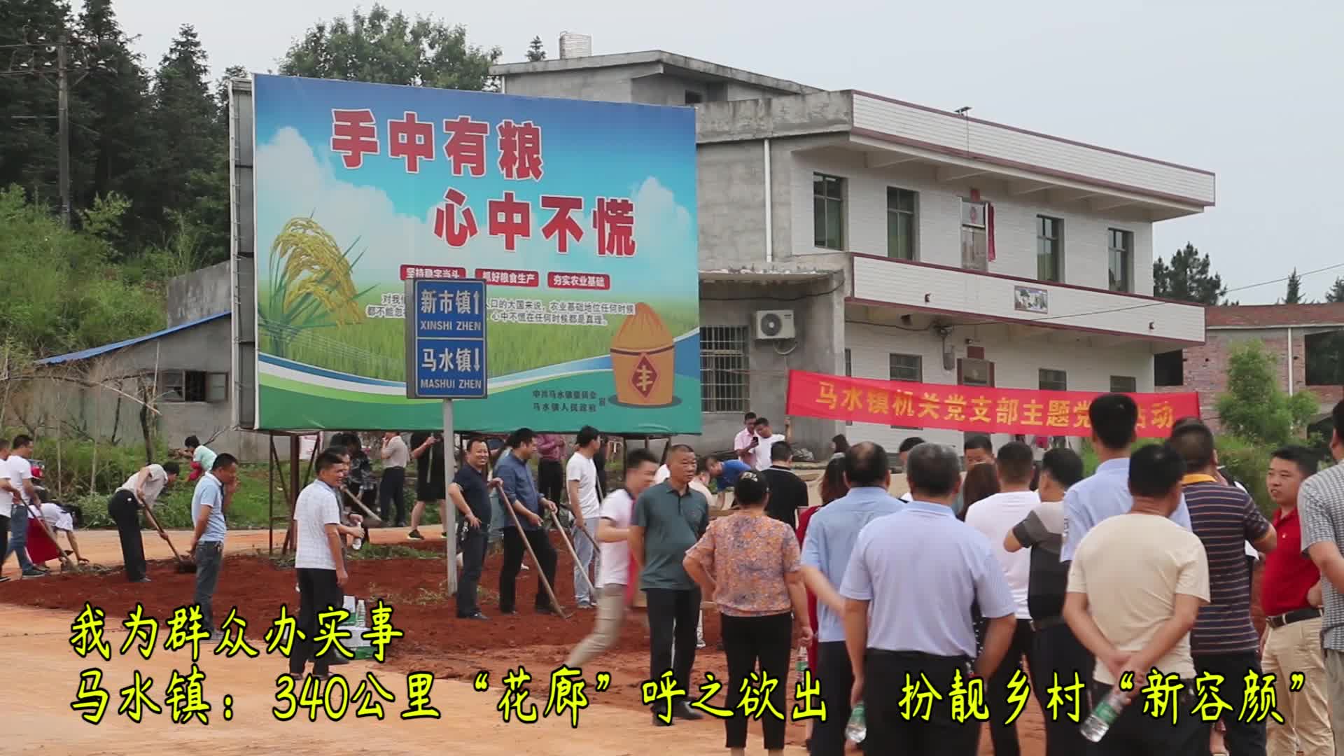 我为群众办实事 |马水镇 ：340公里“花廊”即将揭开面纱   扮靓乡村“新容颜”