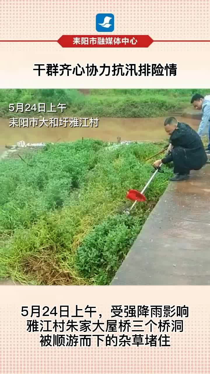 短视频|耒阳干群齐心协力抗汛排险情