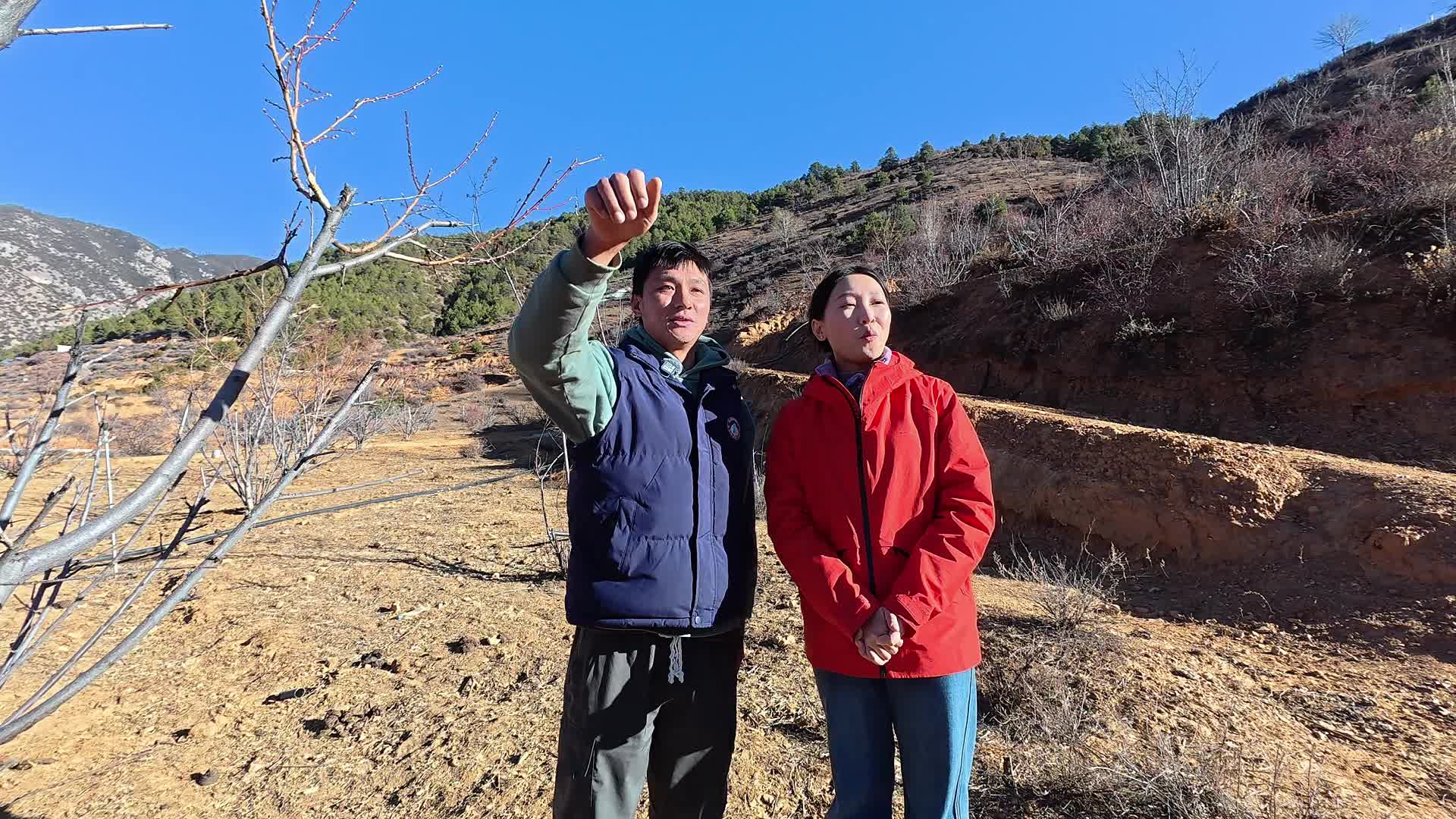 新春走基层丨人均可支配收入增长30%，这个高原小村凭啥？