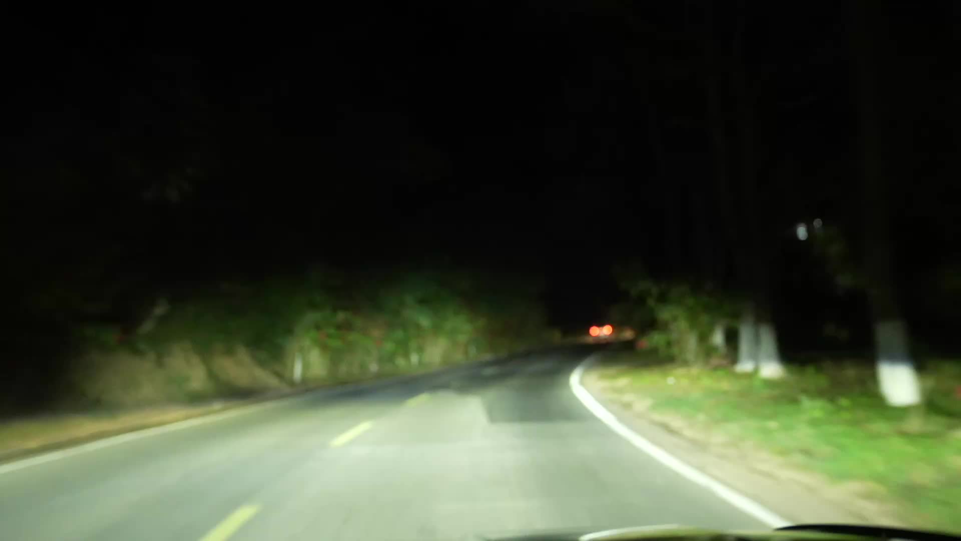 【新春走基层 云南江城 】虫情监测