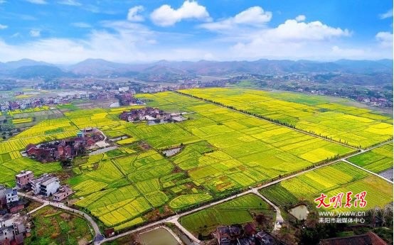 【百年辉煌 我心向党·成果篇（10）】夏塘镇：美丽乡村展新颜 乡村振兴谱新篇
