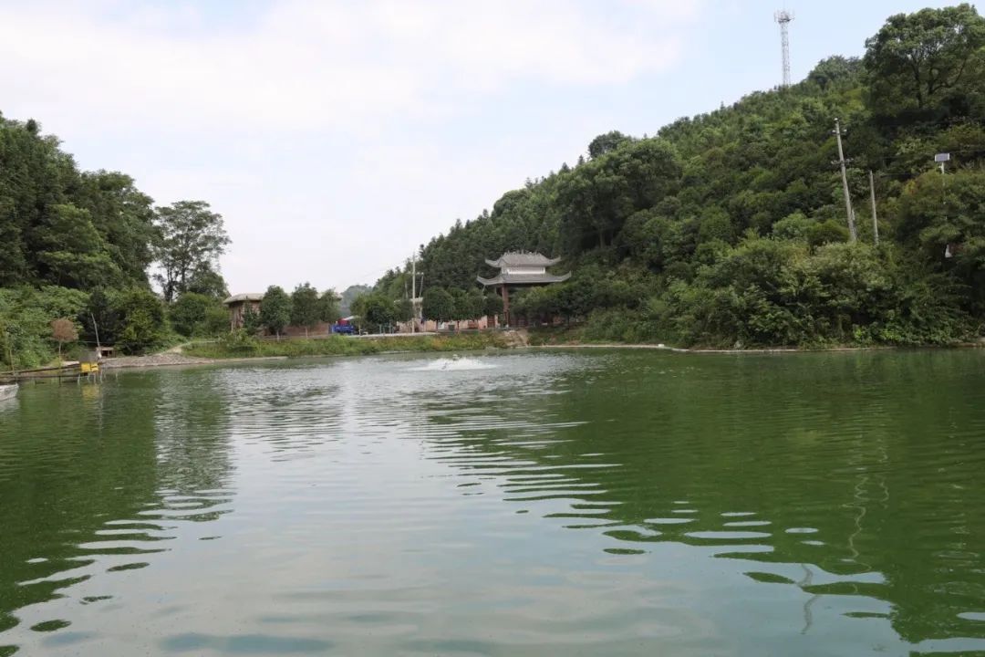 航拍耒阳 之风韵三都