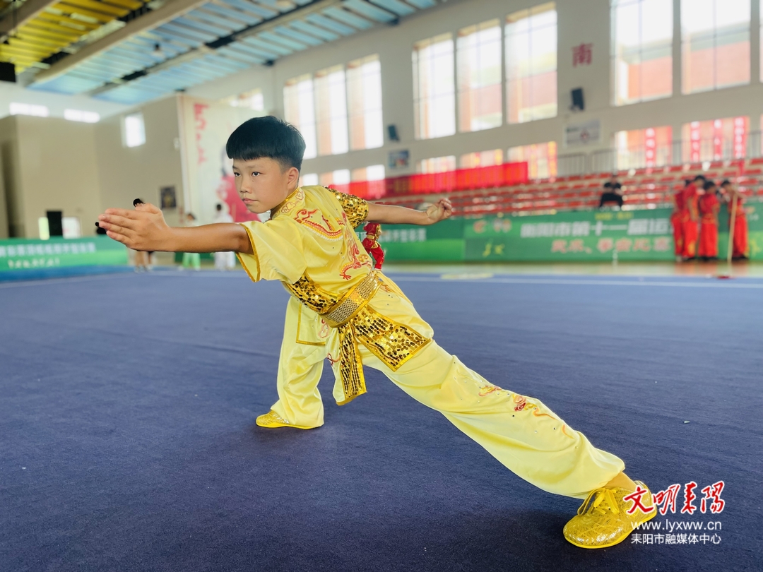 衡阳市运会 “青少年武术”夺金背后： 耒阳推广“武术进校园”特色教育  培养“功夫少年”