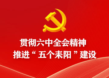 哲桥镇学习贯彻党的十九届六中全会精神