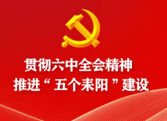 耒阳市综合行政执法局学习贯彻党的十九届六中全会精神