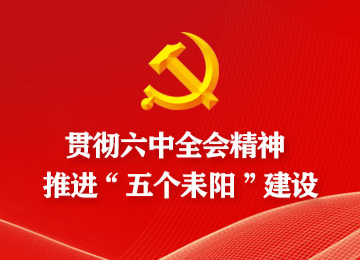 耒阳市融媒体中心学习贯彻党的十九届六中全会精神