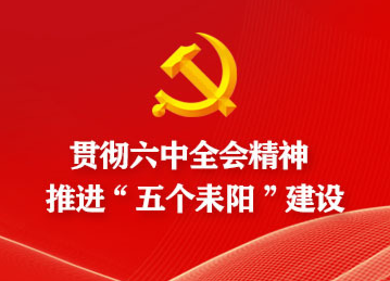 耒阳市经开区学习贯彻党的十九届六中全会精神