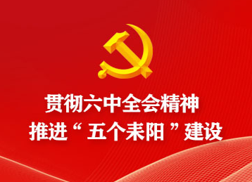 灶市街街道人大代表学习贯彻党的十九届六中全会精神