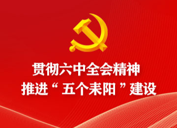 市政协无党派界别委员学习贯彻党的十九届六中全会精神