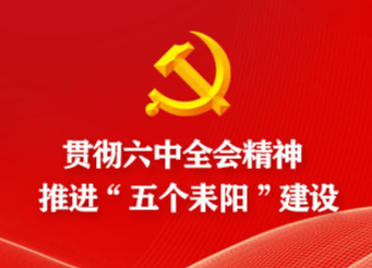 淝田镇人大学习贯彻党的十九届六中全会精神和省十二次党代会精神