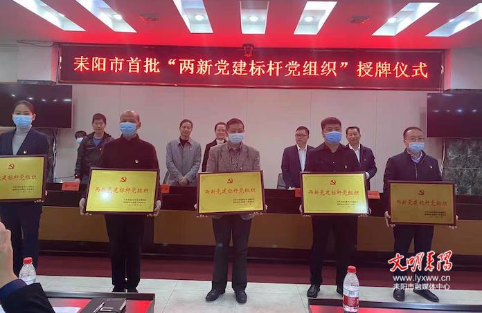 耒阳市为首批“两新党建标杆党组织”授牌