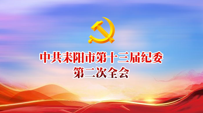 中共耒阳市第十三届纪委第二次全会