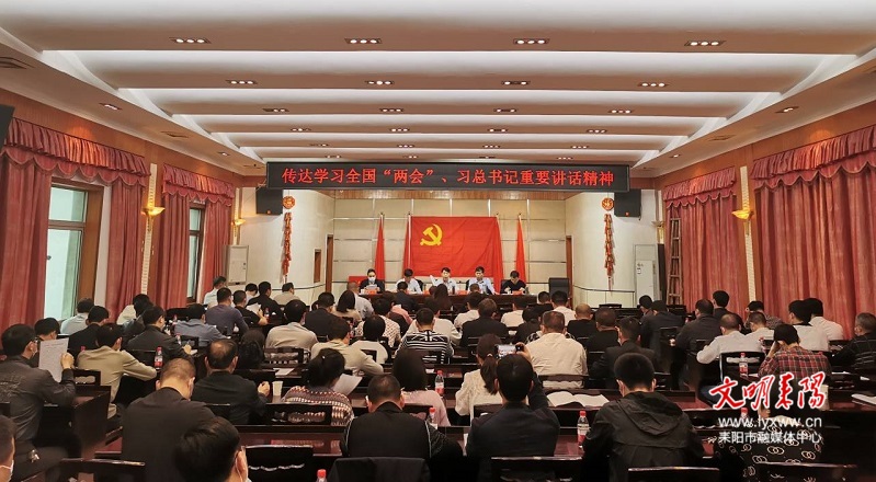 耒阳市自然资源局传达学习习近平总书记重要讲话和全国“两会”精神