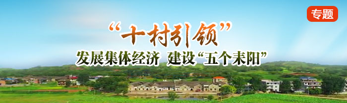 “十村引领”｜发展集体经济  建设“五个耒阳”