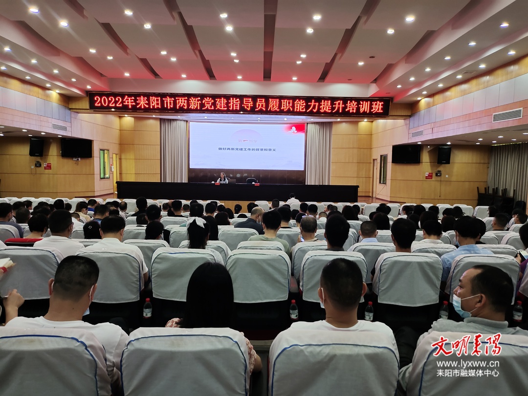 耒阳市338名两新党建指导员集体充电