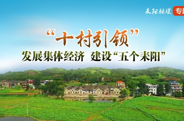 【十村引领】大市镇紫峰村：优化营商环境  发展集体经济