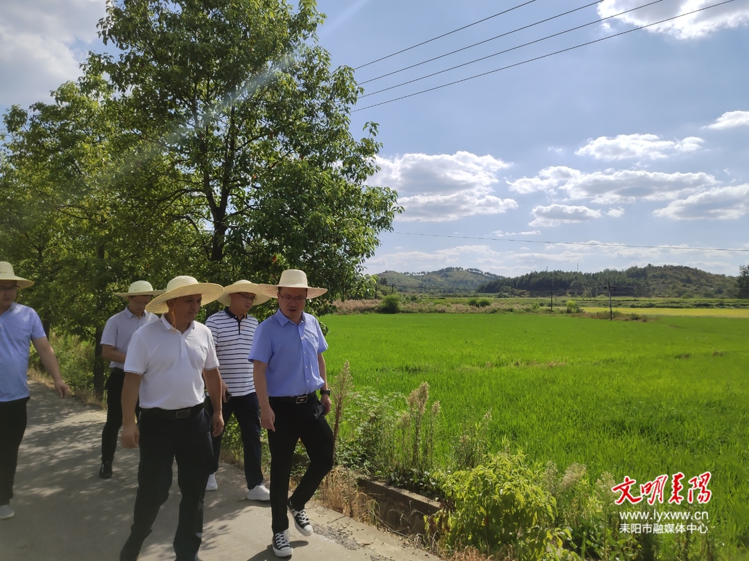 王星皓在遥田镇督导检查抗旱、田长制、防溺水等工作