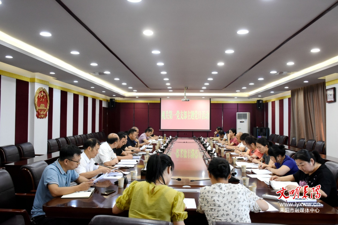 耒阳经开区机关第一支部：开展“清廉机关”建设主题党日活动