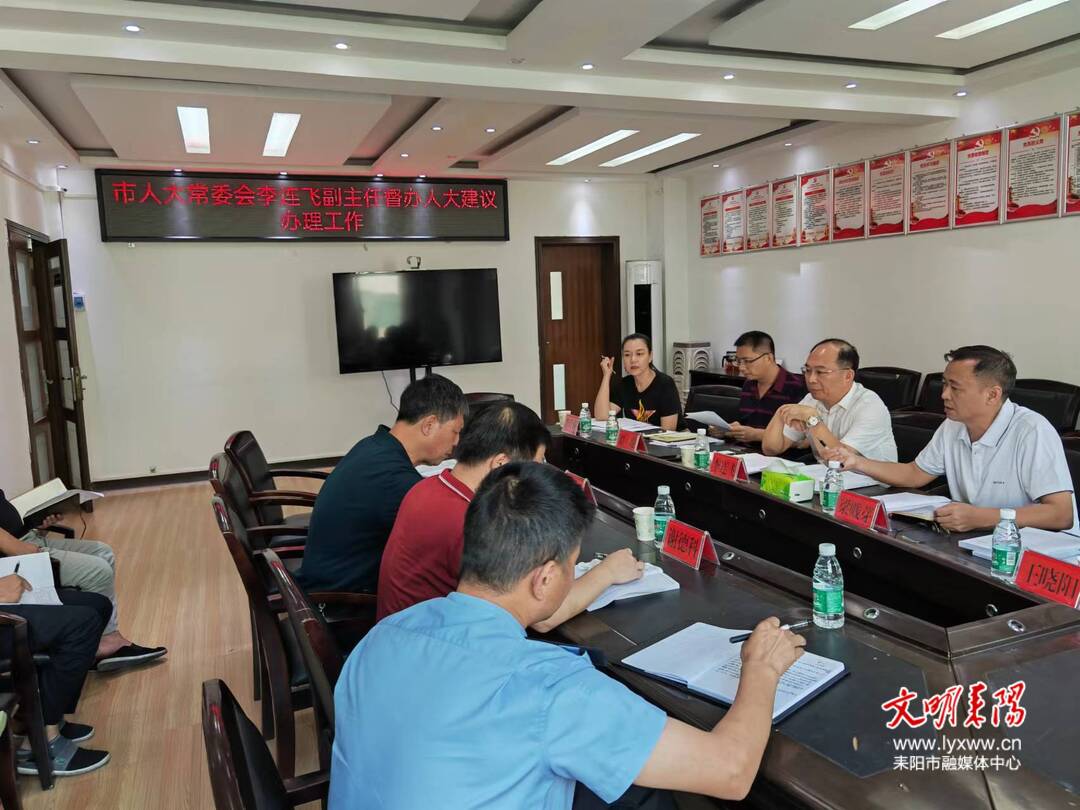 李连飞督办衡阳市生态环境耒阳分局人大建议办理工作