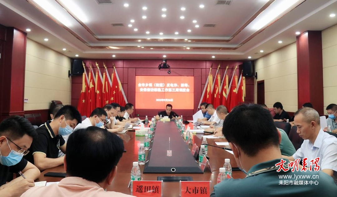 耒阳：再研究再部署再推进   将各类风险隐患消除在萌芽状态