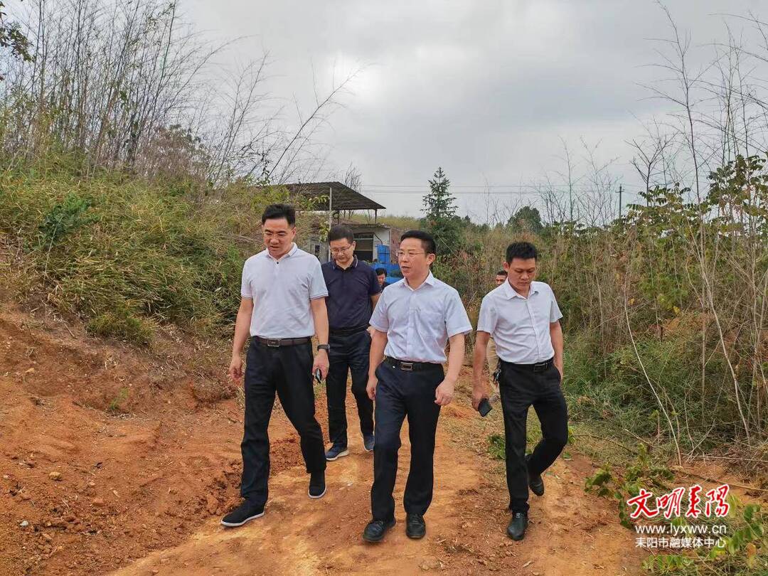 省林业局督导耒阳市林长制建设相关工作