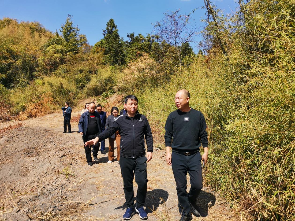 李云到南阳镇督导安全生产、田长制等工作