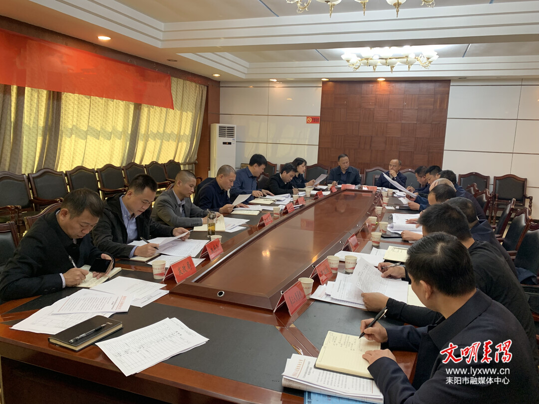 耒阳市召开中央预算内投资和政府专项债券项目推进会