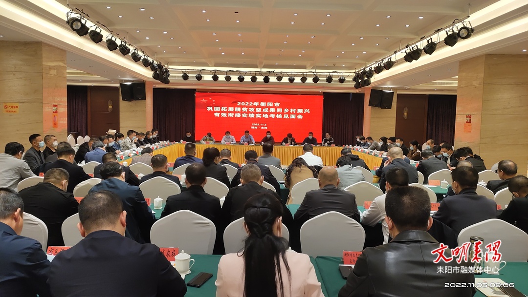 推动巩固拓展脱贫攻坚成果同乡村振兴有效衔接