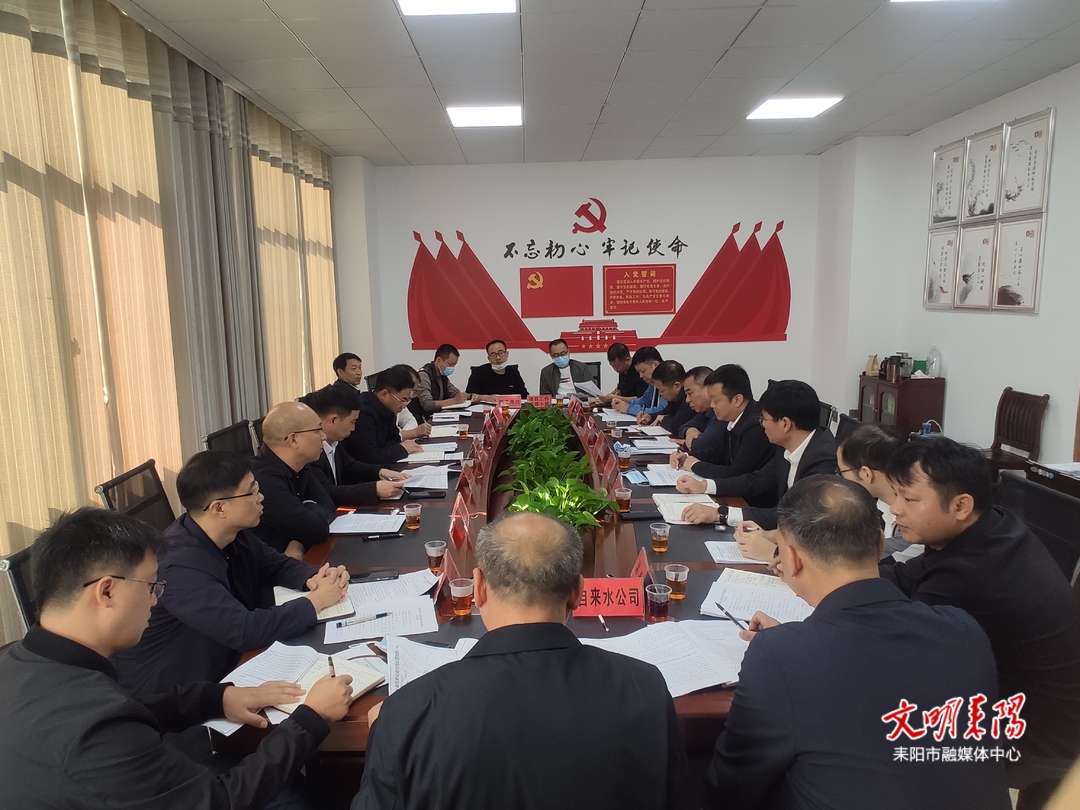 耒阳市召开城区自来水提质改造项目进度推进会