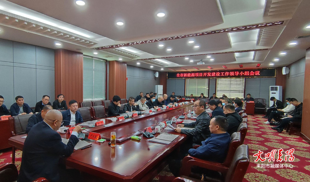 耒阳市召开新能源项目开发建设工作领导小组会议