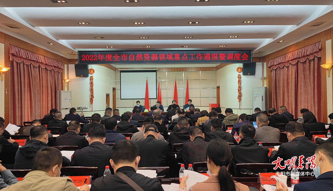 耒阳召开自然资源领域底线工作通报暨调度会议