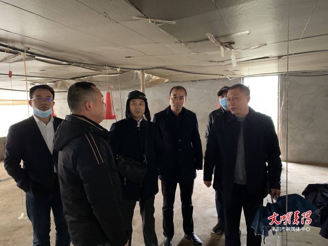 确保河畅水清岸绿景美   周斐带队开展巡河工作