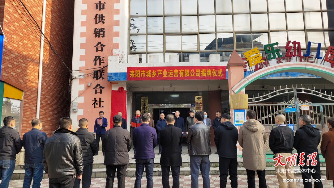 耒阳市城乡产业运营有限公司揭牌成立