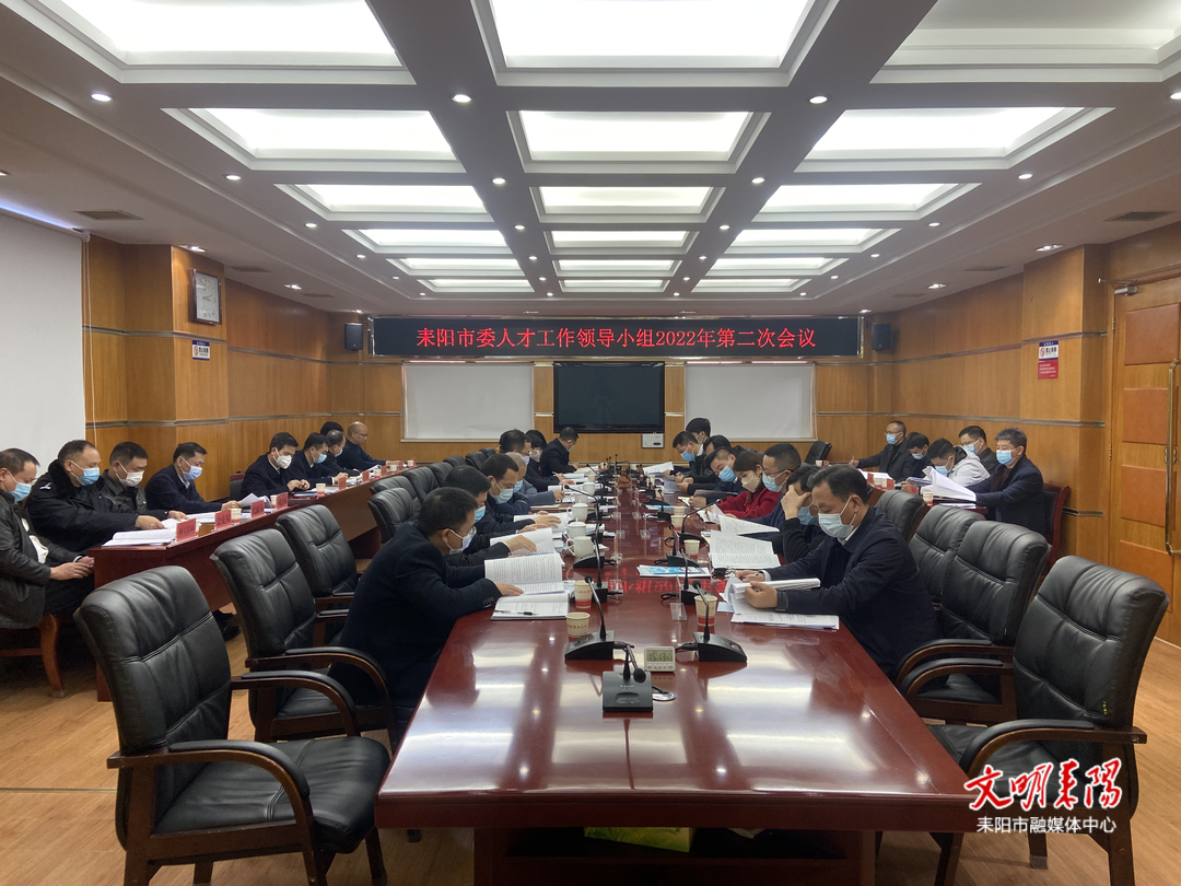 耒阳市委人才工作领导小组2022年第二次会议召开