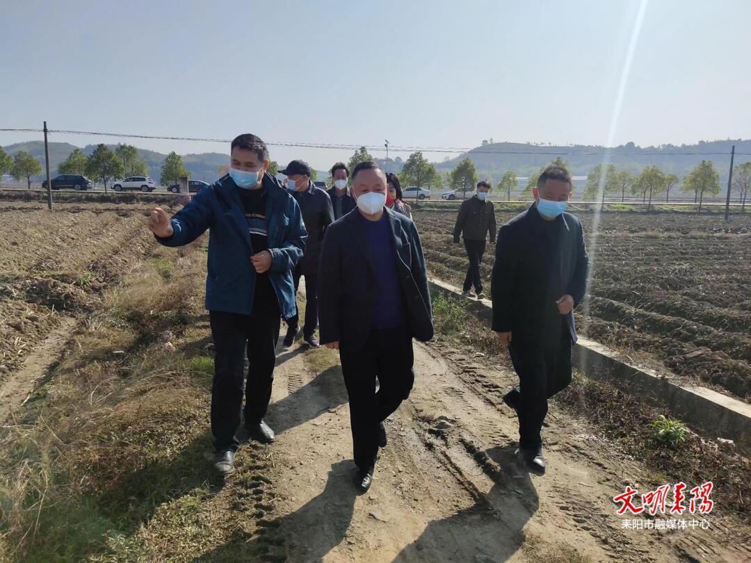 陆冬生督导高标准农田建设和烤烟生产工作