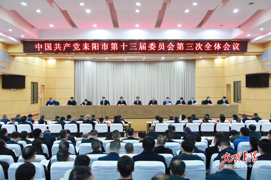 中共耒阳市委十三届三次全体会议召开