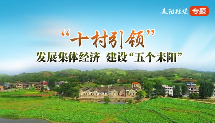 【十村引领】龙凤社区：多措并举  激活村集体经济新动能