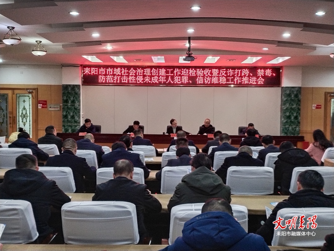 耒阳市召开市域社会治理创建迎检验收工作部署会