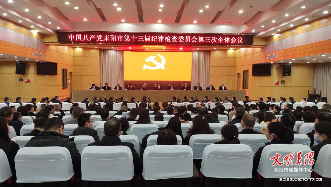 坚持以严的基调强化正风肃纪，以高质量监督保障耒阳高质量发展