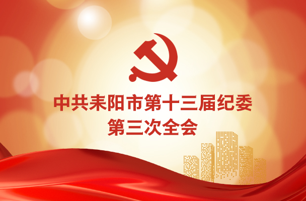 中国共产党耒阳市第十三届纪律检查委员会第三次全体会议公报