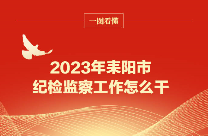 一图看懂：2023年耒阳市纪检监察工作怎么干？