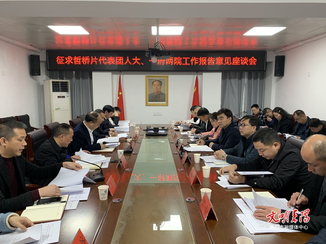 刘廷斌、伍检告就人大、“一府两院”工作报告征求哲桥片代表团意见