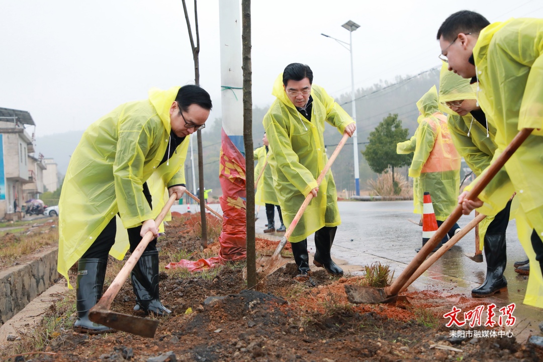 赖馨正等市领导参加2023年义务植树活动