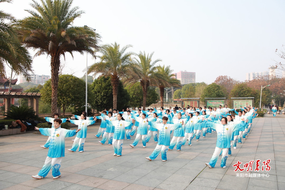 耒阳市健身气功协会正式成立