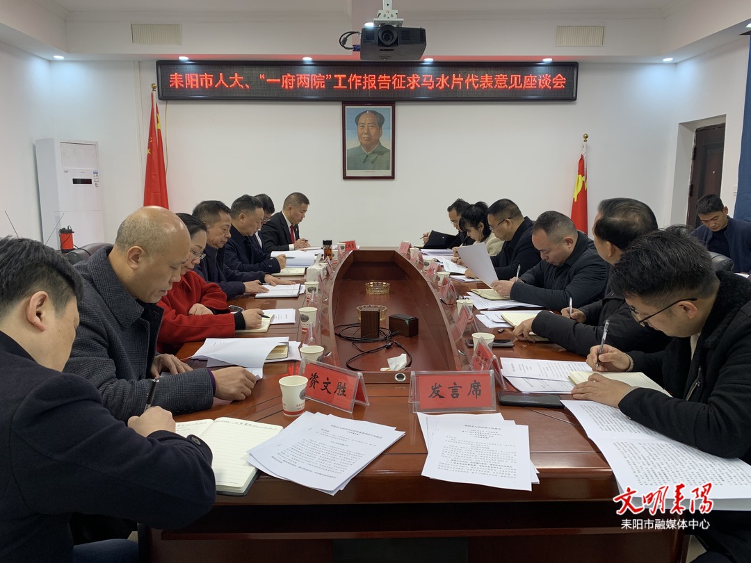 黄扬波、陆冬生就人大、“一府两院”工作报告征求马水片代表团意见