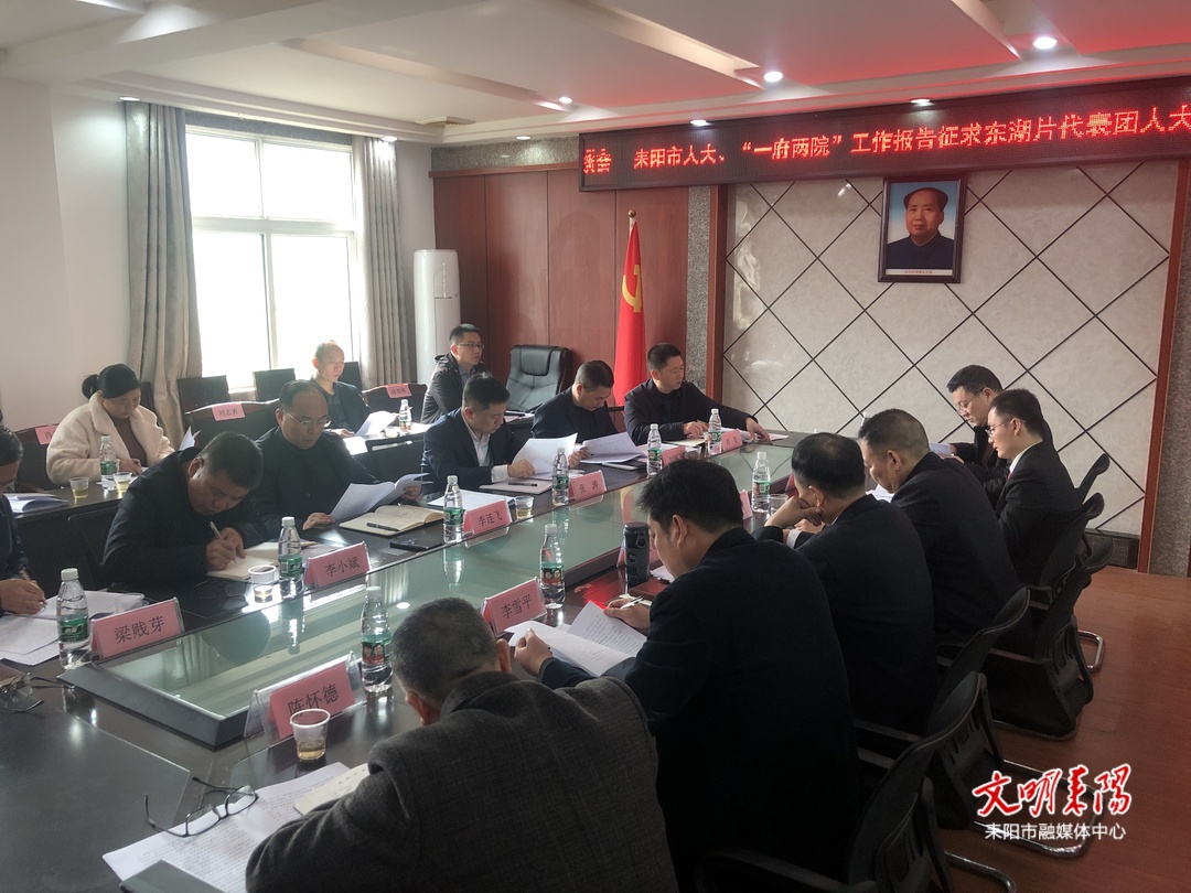 李连飞、张涛就人大、“一府两院”工作报告征求东湖片代表团意见