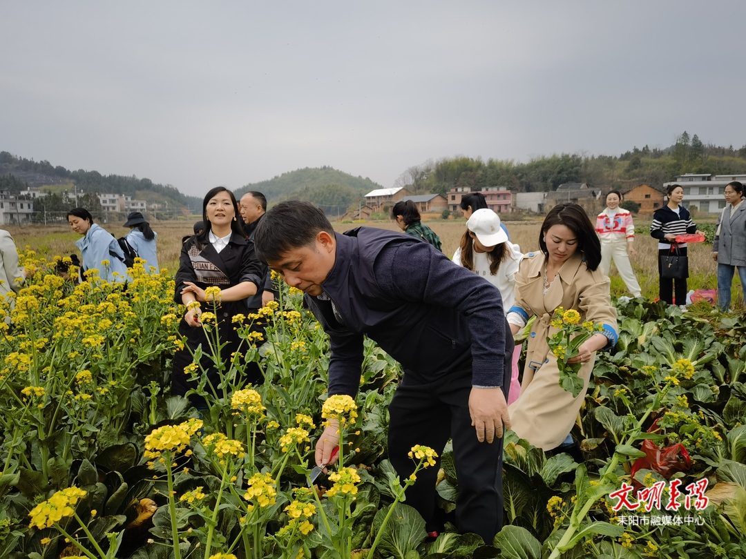 更添乡村好“丰”景！耒阳市政协开展庆祝三八妇女节活动