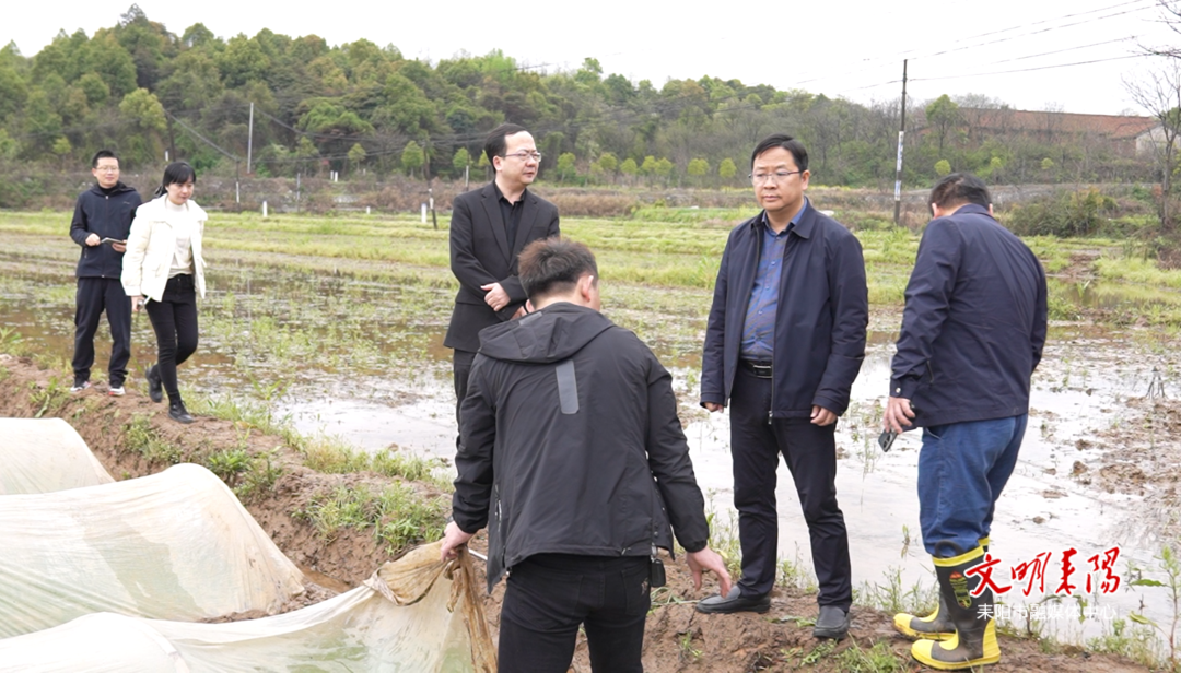 王星皓调研督导春耕备耕和煤矿安全生产工作