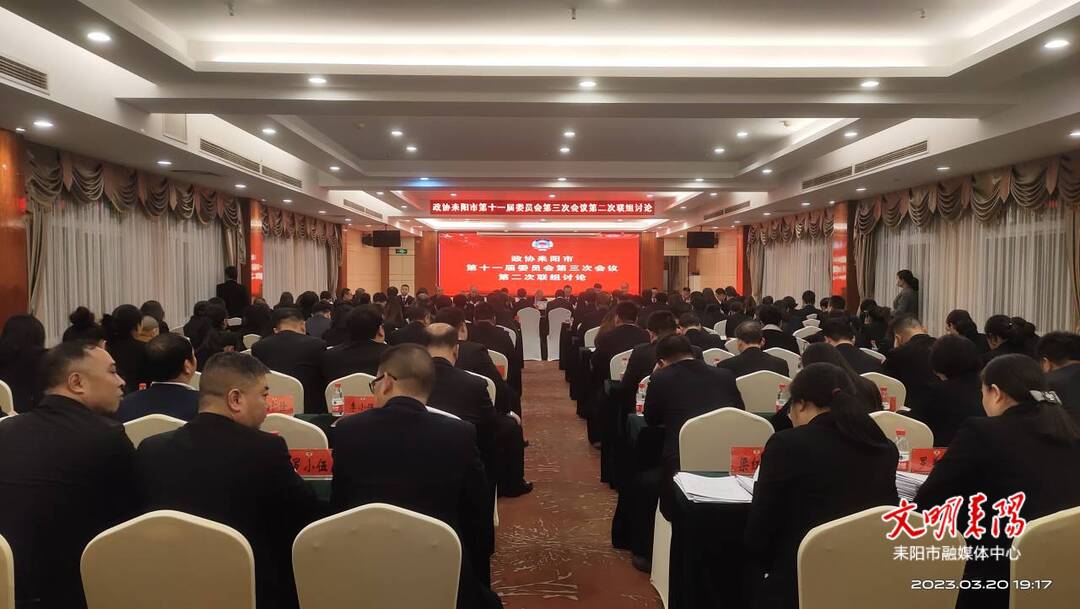 尹立鑫参加政协耒阳市十一届三次会议联组讨论会