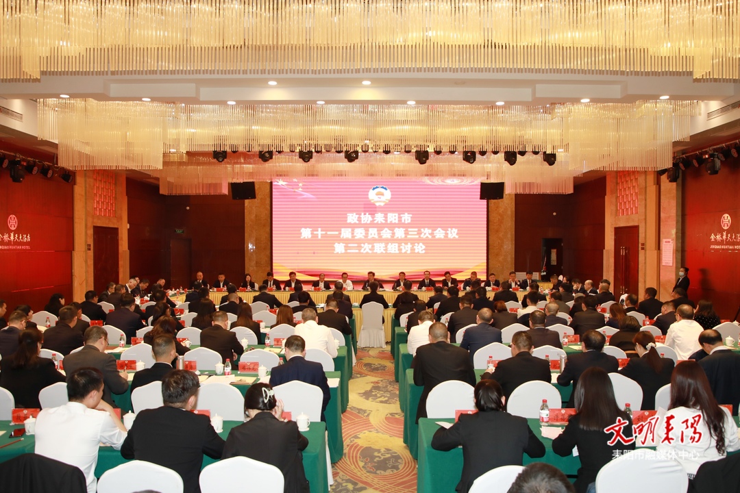 赖馨正参加政协耒阳市十一届三次会议联组讨论